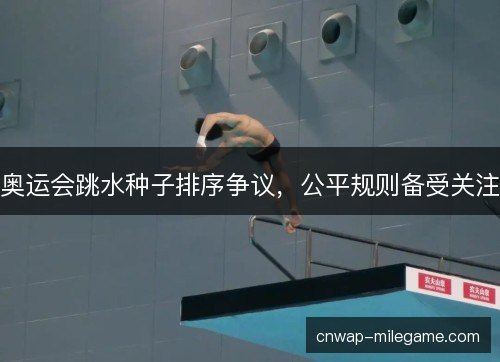 奥运会跳水种子排序争议,公平规则备受关注 奥运会跳水种子排序争议,公平规则备受关注